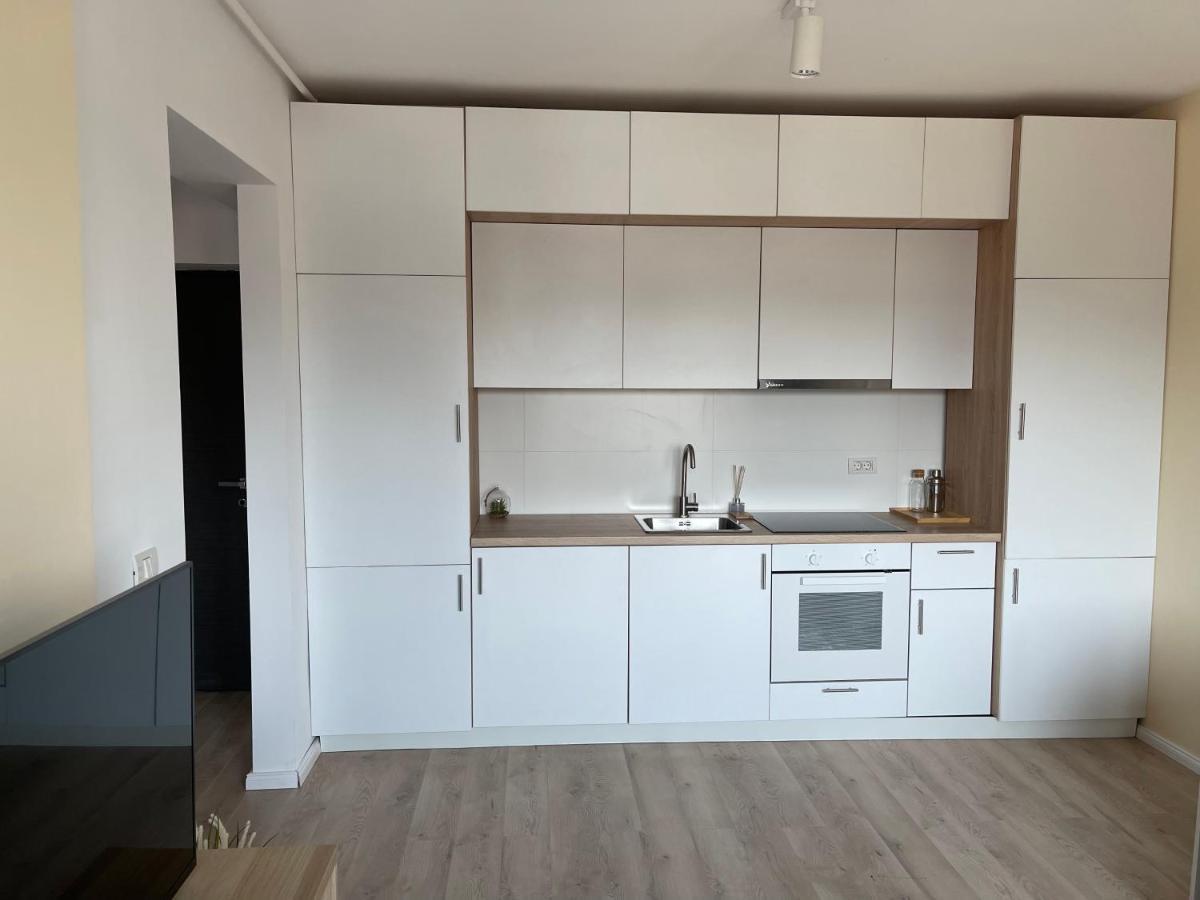 Diamond Luxury Apartment Near Presidential Palace Bukarest Exteriör bild